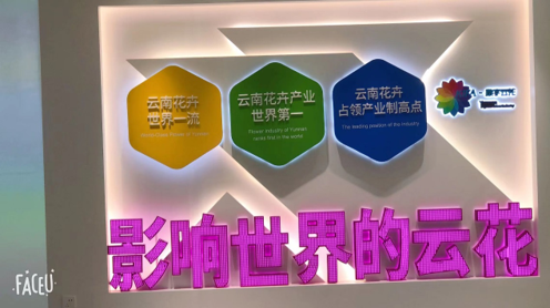 &#20061;&#24030;&#32593;&#95;&#20061;&#24030;&#65288;&#20013;&#22269;&#65289;